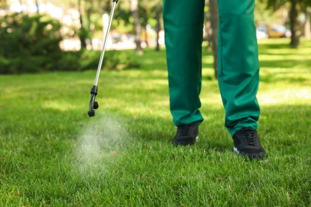 Wildlife Control Services in Rich Hill, MO