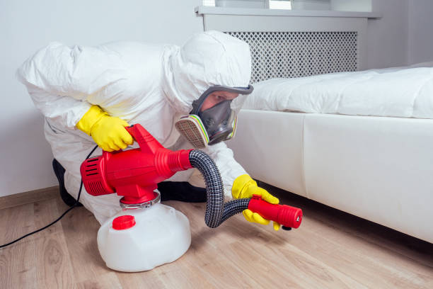 Best Mosquito Control Services  in Rich Hill, MO