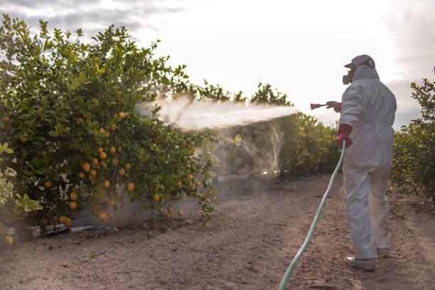 Pest Control Cost in Rich Hill, MO