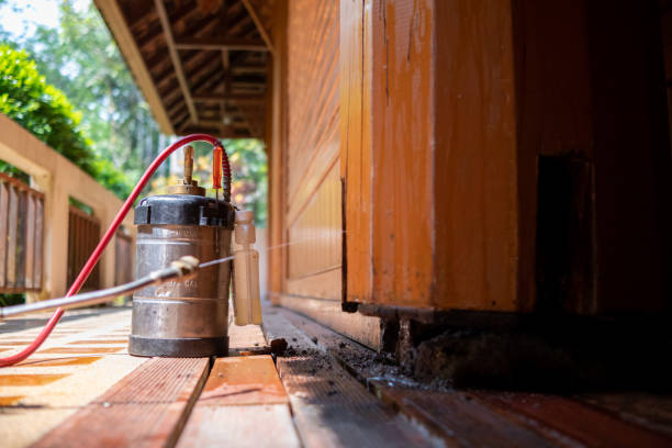 Best Best Pest Control Companies  in Rich Hill, MO
