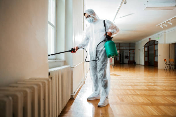 Best Mosquito Control Services  in Rich Hill, MO