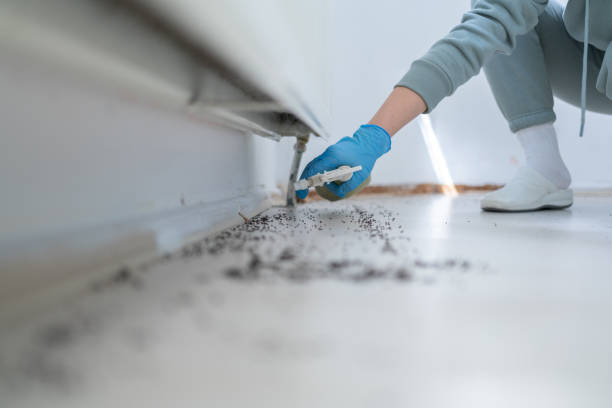 Best Commercial Pest Control Services  in Rich Hill, MO